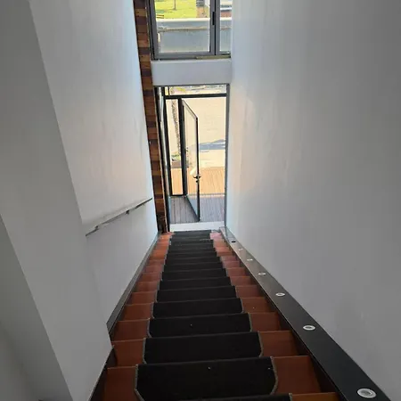 Lulishtja 5* Velipojë